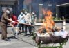 Kejari Rejang Lebong Musnahkan 2,5 Kilo Narkotika jenis Ganja dan Sabu