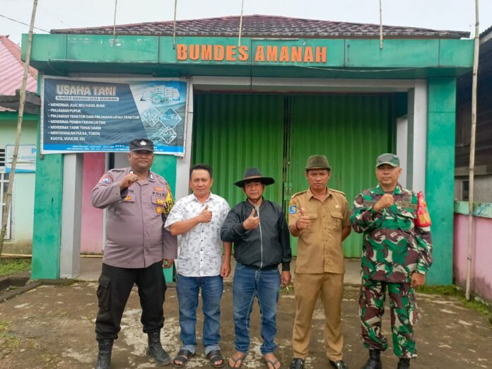 Dukung Program Asta Cita Ketahanan Pangan, Pemdes dan BUMDes Amanah Seguring Gotong-royong Tanam Jagung Bersama Warga